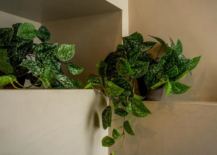 2br Luxury Penthouse And Apartment, Each With A Terrace, Private Pool And Valletta Views