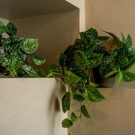 2br Luxury Penthouse And Apartment, Each With A Terrace, Private Pool And Valletta Views